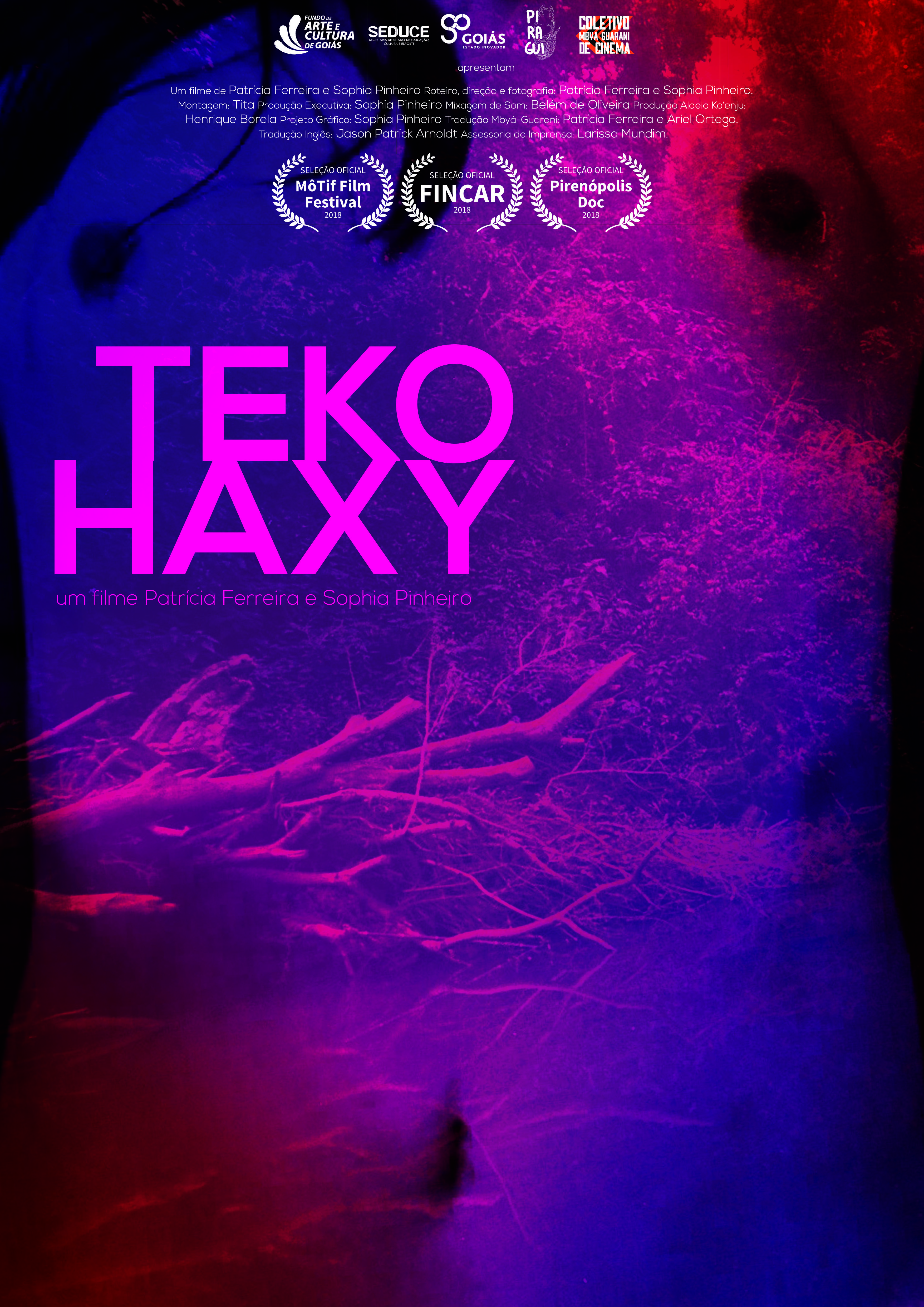 Poster Teko-Haxy Being Imperfect (2019)